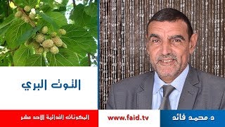 Dr faid | التوت البري | الفواكه الرطبة | المكونات الغذائية الأحد عشر | دكتور محمد فائد