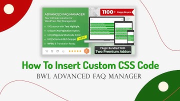 How To Insert Custom CSS Code | BWL Advanced FAQ Manager | WordPress Plugin | CodeCanYon