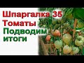 ШПАРГАЛКА  35 Подводим итоги урожая томатов 2021