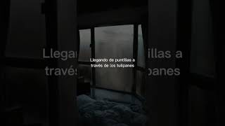 Tiptoe through the tulips - Tiny Tim (español) #shorts