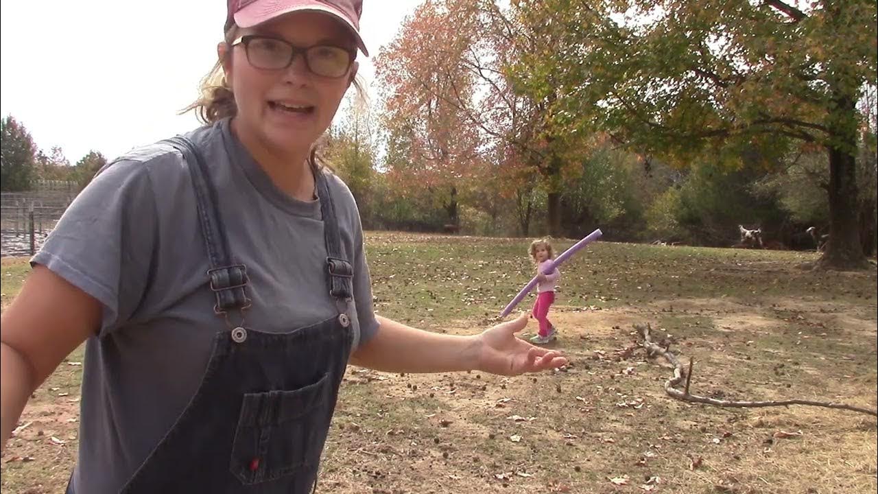 Goats and Pool Noodles What happens when you put pool noodles on lots