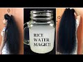 How to use Rice Water ||  To get thicker & LONGER hair Faster || With English Subtitles || Malayalam