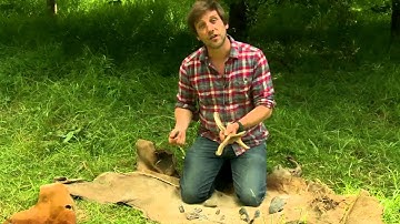 Living in the Stone Age: Stone tools