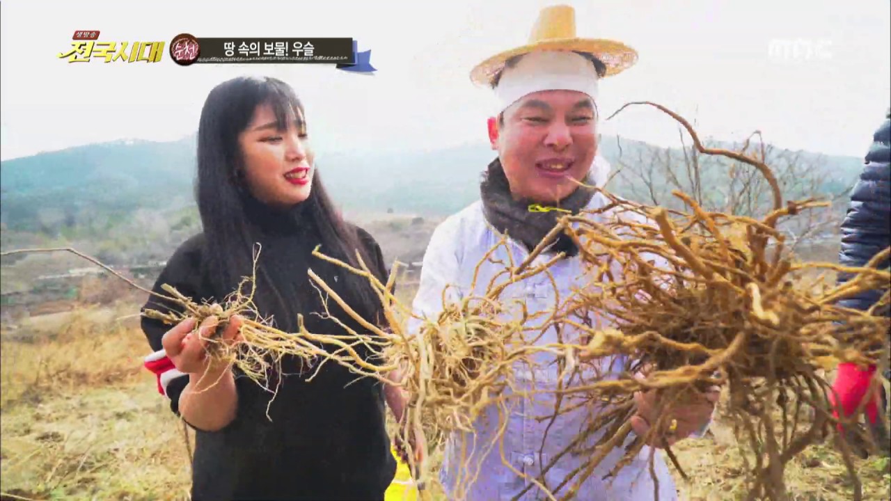 땅 속의 보물! 우슬(순천) / 전국시대 190220