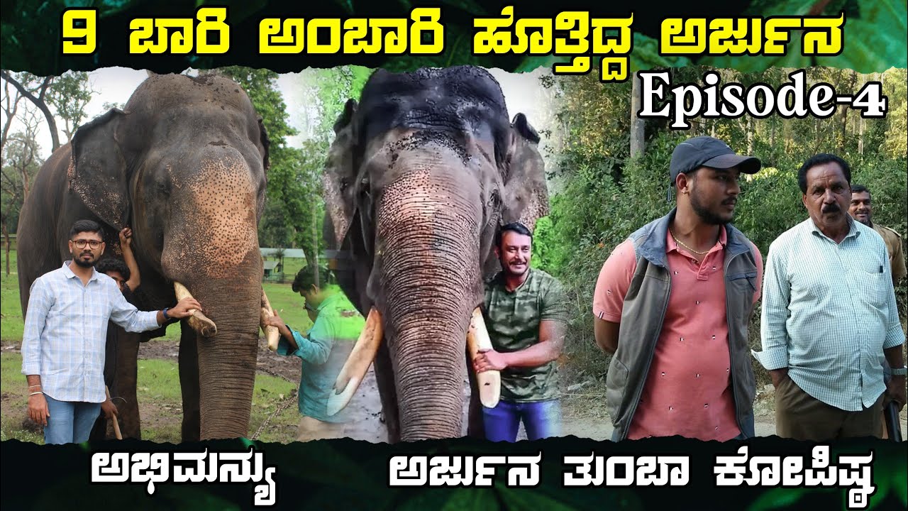 ಅರ್ಜುನ ತುಂಬಾ ಕೋಪಿಷ್ಠ, ಅಭಿಮನ್ಯು || Wildlifekarunaadu || #arjunaelephant #abhimanyuelephant 