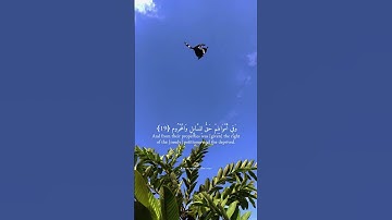 إِنَّ الْمُتَّقِينَ فِي جَنَّاتٍ وَعُيُونٍ بصوت #احمد_العجمي #سورة_الزاريات #quran  #قرآن #قرآن_كريم