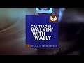 Miniature de la vidéo de la chanson Walkin' With Wally