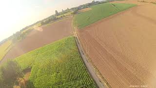 Spot Poney Crash N°1 Powerloop Failed - Q FPV