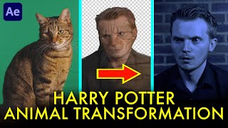 Harry Potter ANIMAL TRANSFORMATION Tutorial for After Effects