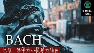 巴哈 - 夏康舞曲 - Bach Violin Partita no. 2, BWV 1004