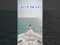 井上陽水「マリーナ・デル・レイ」/秀逸な&ldquo;間&rdquo;の使い方