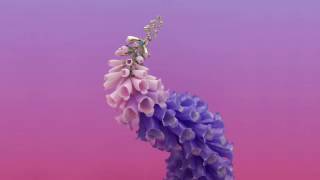 Flume - Wall Fuck