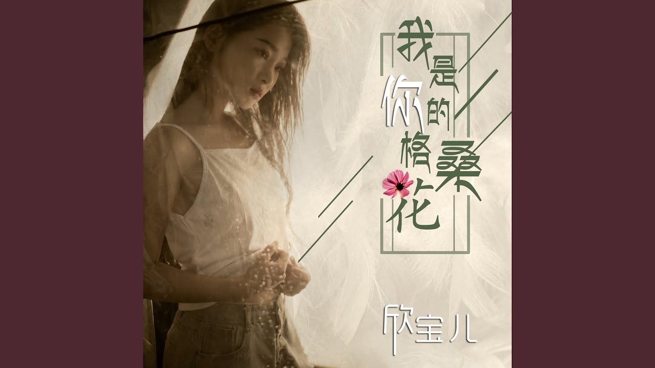 我是你的格桑花