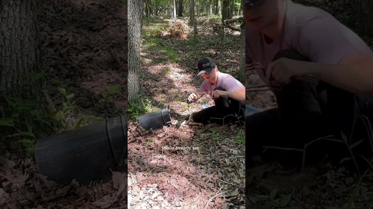 How to CATCH coons with just a bucket!