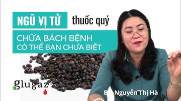 NGŨ VỊ TỬ - Thuốc quý chữa bách bệnh có thể bạn chưa biết