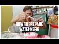 How To Prepare Water Kefir Grains - tagalog