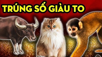 3 Con Giáp Khổ Nhục Đủ Rồi, Đến Thời Trúng Số, Đổi Vận Giàu To Rửa Sạch Hận Thù.