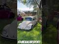 Vw Vocho #vocho #vochomx #fuscabrasil #escarabajo #vwsedan #volkswagen #Vwlifestyle #vwoval #porsche