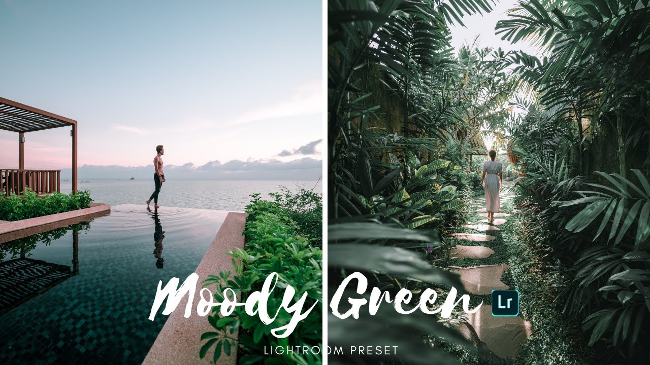 moody preset lightroom moody preset lightroom