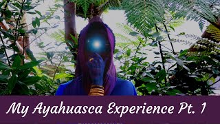 What Ayahuasca Taught Me Pt 1