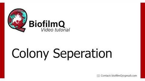 BiofilmQ Tutorials - 2.1.1 Colony Separation