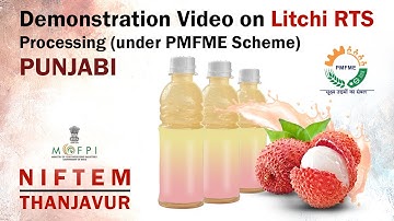 Demonstration Video on Litchi RTS Processing (under PMFME Scheme) - PUNJABI