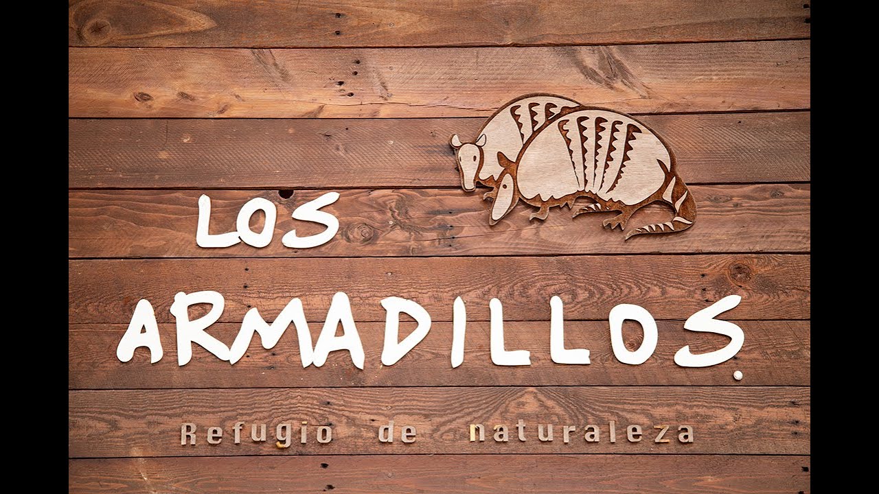 Los Armadillos café restaurante YouTube