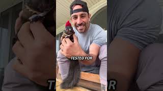 Peanut The Squirrel Tribute Song