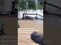 Impactante rescate en medio de las inundaciones en Chile