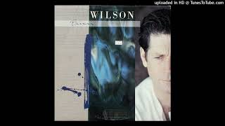 Brian Wilson - There&#39;s So Many - Vinyl Rip