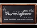 Обществознание. ЕГЭ. Урок №28. &quot;Виды, причины и последствия инфляции&quot;.