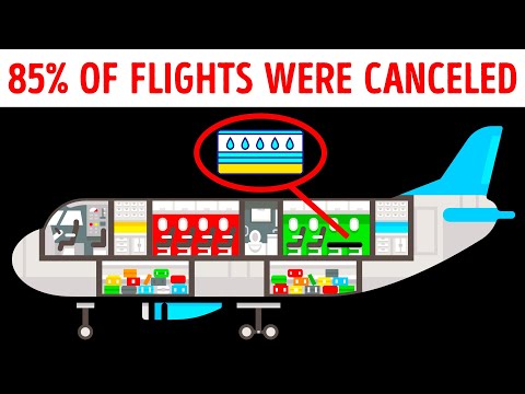 वीडियो: क्या आप हवाईयन एयरलाइंस पर खाना ला सकते हैं?