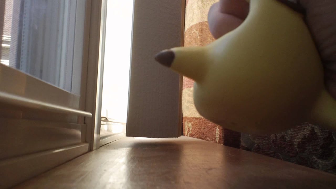 Squeaky Dog Toy YouTube