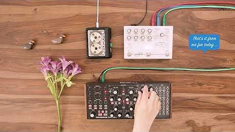 Moog Subharmonicon into Microcosm