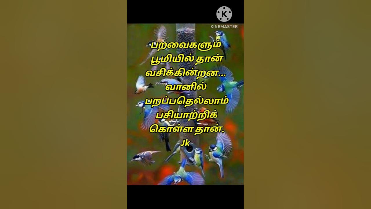 shorts #tamil #kavithaigal #kavingar Jk - YouTube