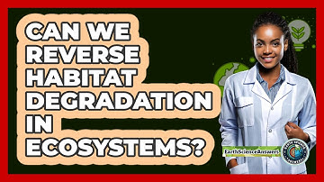 Can We Reverse Habitat Degradation In Ecosystems? - Earth Science Answers