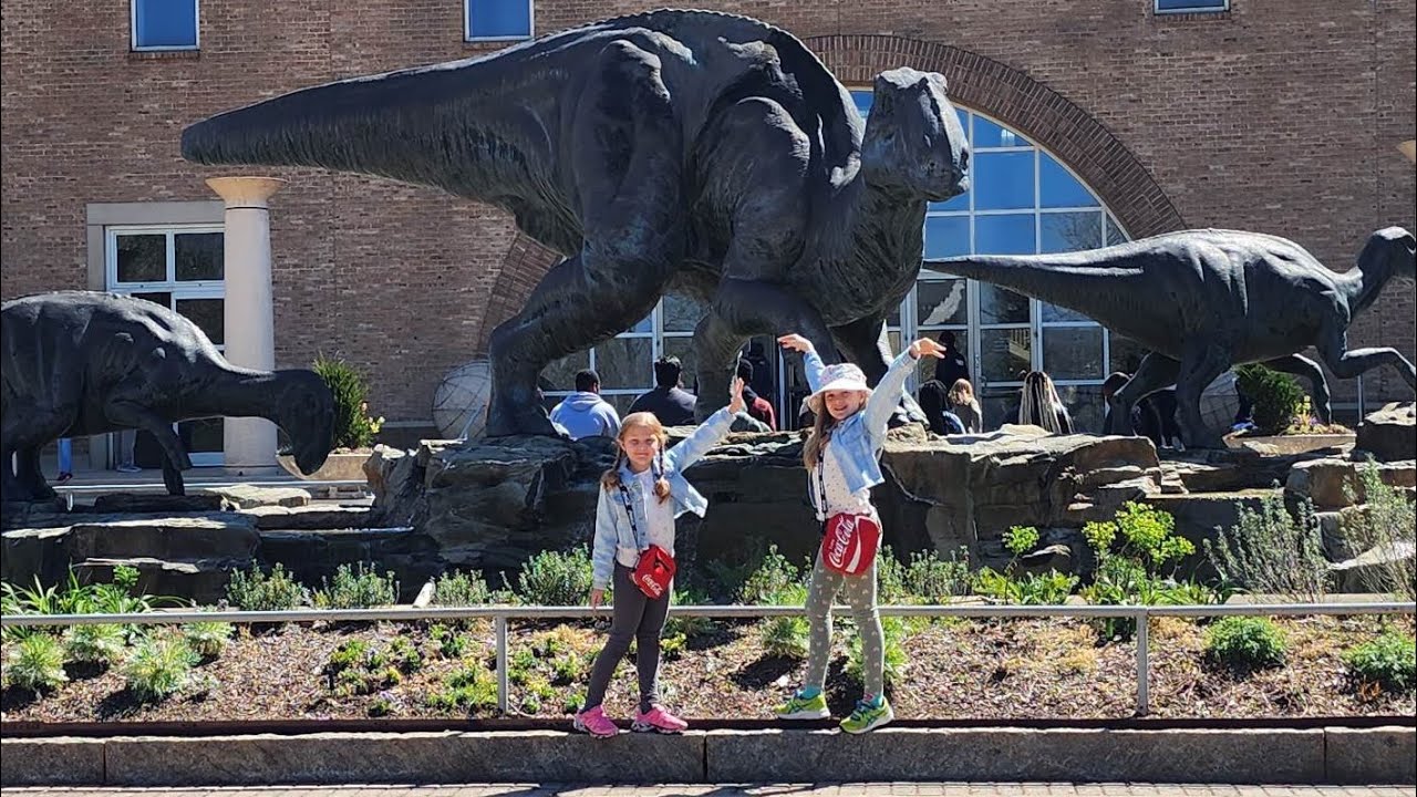 Dinosaur museum!!!!! YouTube