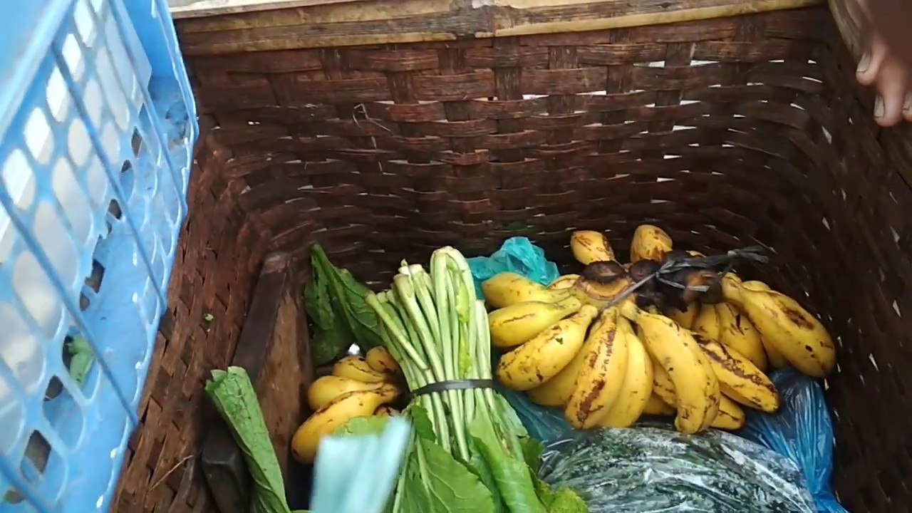 CARA PENJUAL SAYUR  MENAWARKAN DAGANGANYA YouTube