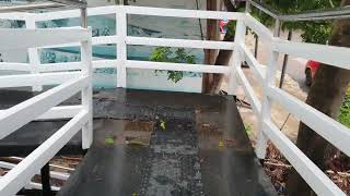 Mentah Mpp 20200120 171136