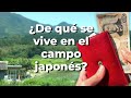 Japón y el trabajo rural: ¿alcanza para vivir?
