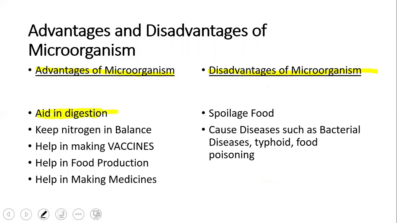 Class 5 Science OUR BODY MICROBES advantages and disadvantages of