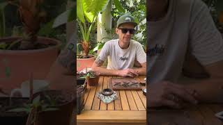 Sunday Wake ’n Bake 🥳🌱 All about Living Soil 🪴