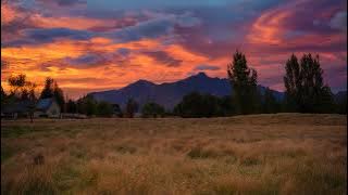 Sonic Dream Collective - Oh Baby All