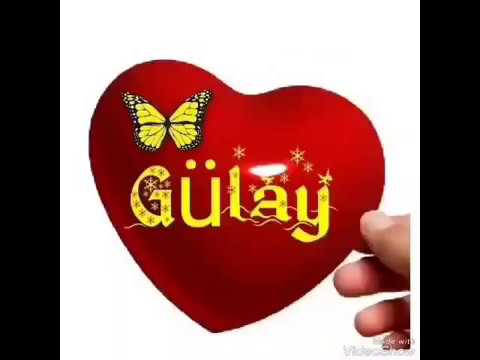 Gulay Adina aid video 2019