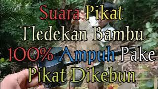 🔴Suara pikat TLEDEKAN BAMBU 100% Ampuh Pake pikat ||  G.A.I KICAU