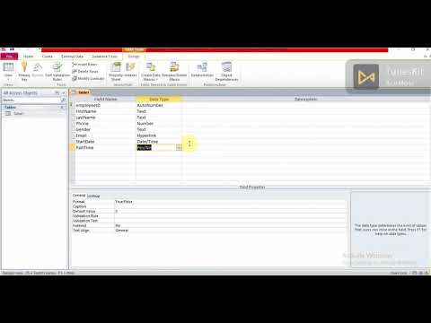 Data Dictionary, how to build Data Dictionary Structure Using Access. part 2