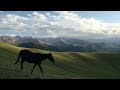 Kazakhstan. The roads. Mountains. Дороги  в горах Казахстана. TLC 105 GX. Плато Асы. Осень 2021