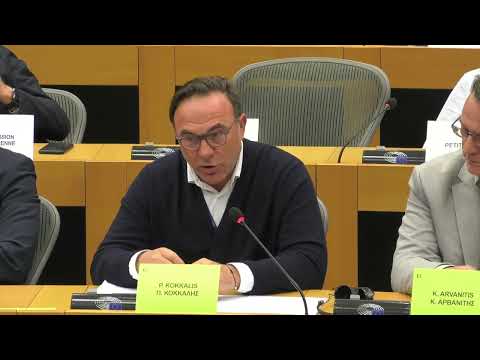 Π. Κόκκαλης στη συζήτηση για το έγκλημα στα Τέμπη στην Επιτροπή Αναφορών του Ε.Κ. (PETI)