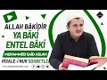 Allah bkidir  ya bki entel bki  risalei nur sohbetleri  08042024