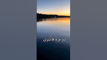 وَالنَّجْمِ إِذَا هَوَى؛تلاوة رائعة للشيخ ياسر الدوسري.